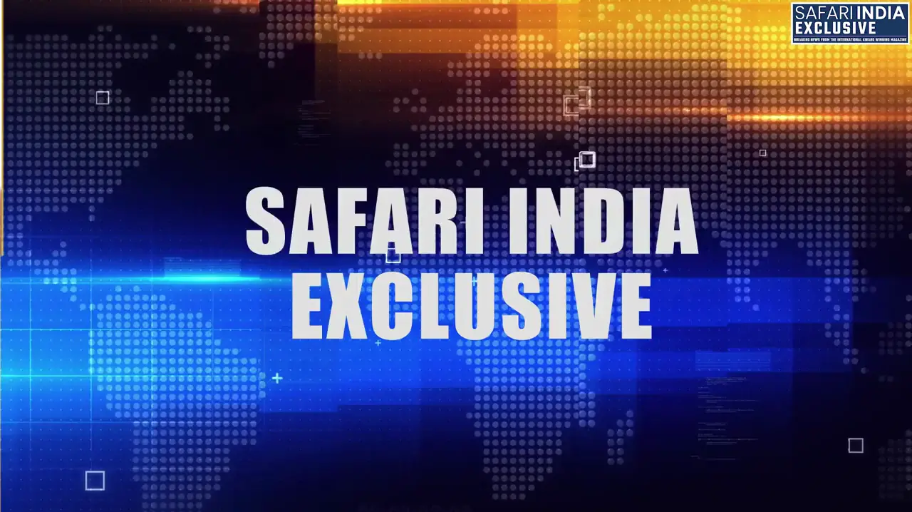 SAFARI INDIA